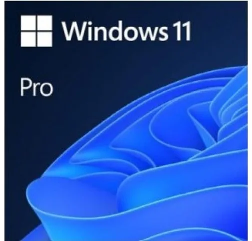 Windows 11 y Office