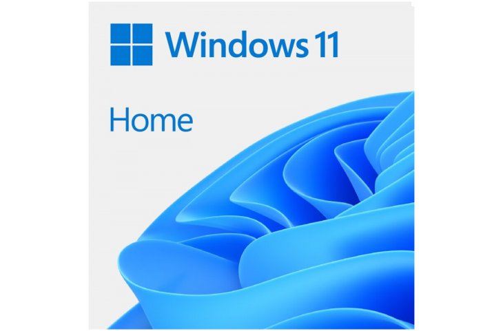 Microsoft Windows 11 Home ESD